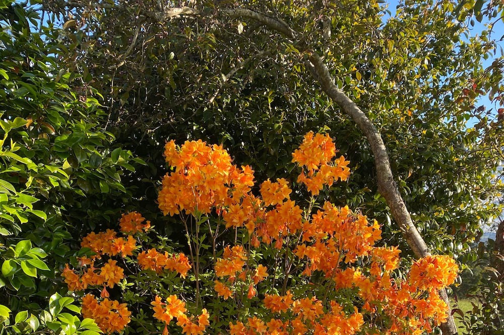 Photo of Outdoor in Badger Creek