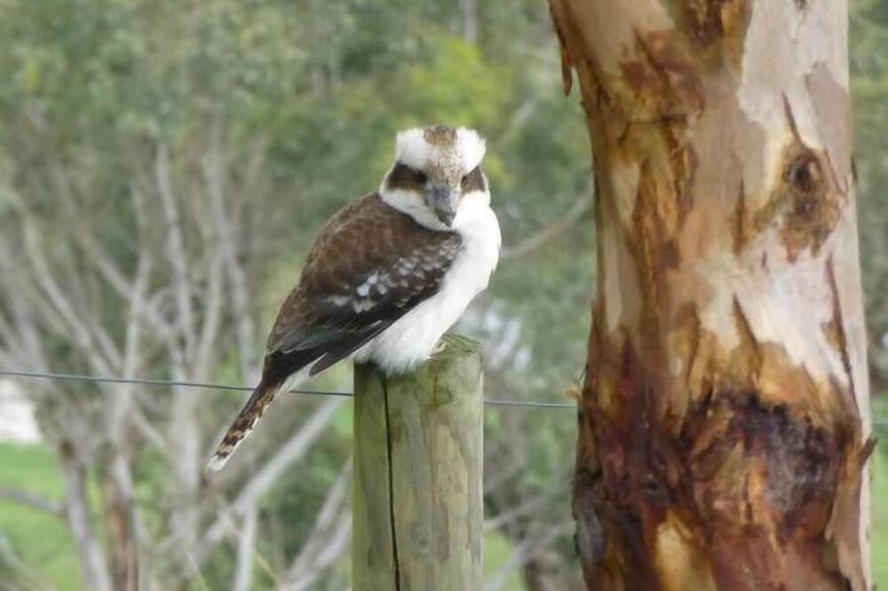 Photo of Outdoor in Badger Creek