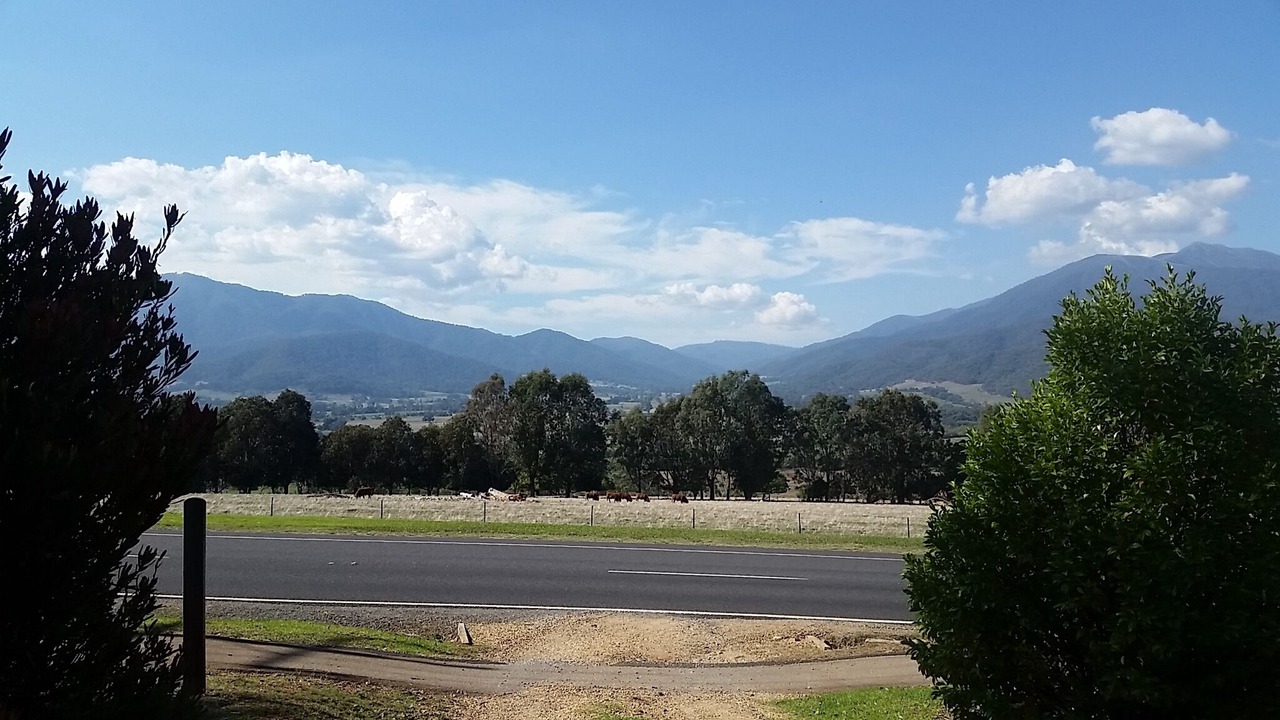 Photo of Others in Tawonga South