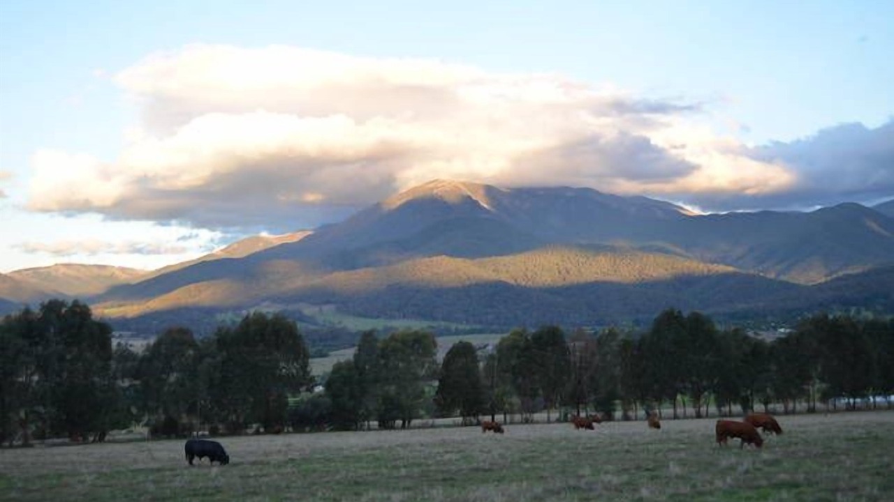 Photo of Others in Tawonga South