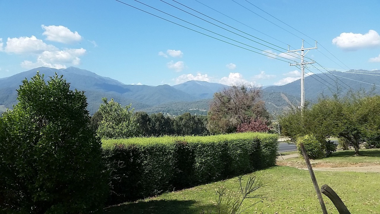 Photo of Outdoor in Tawonga South