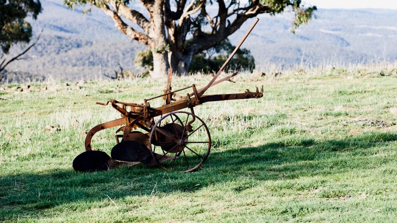 Photo of Outdoor in Curraweela