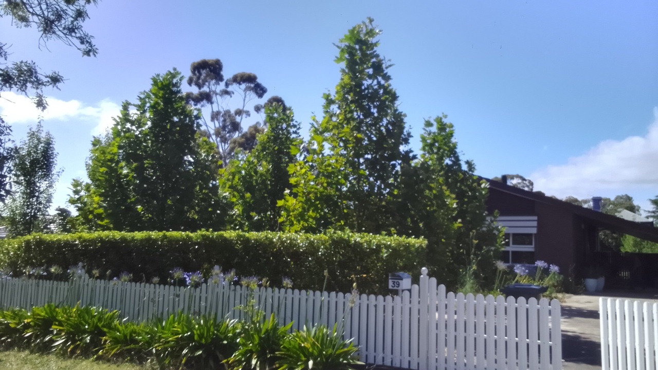 Photo of Outdoor in Maldon