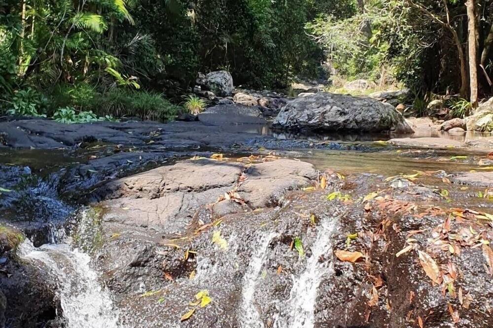 Photo of Outdoor in Springbrook