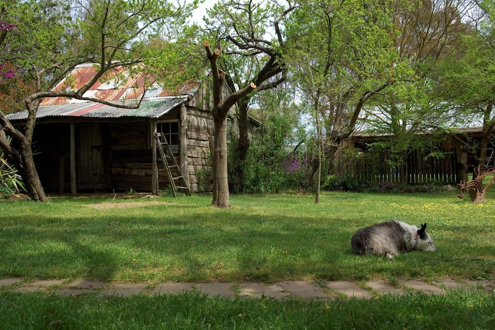 Photo of Outdoor in Crookwell