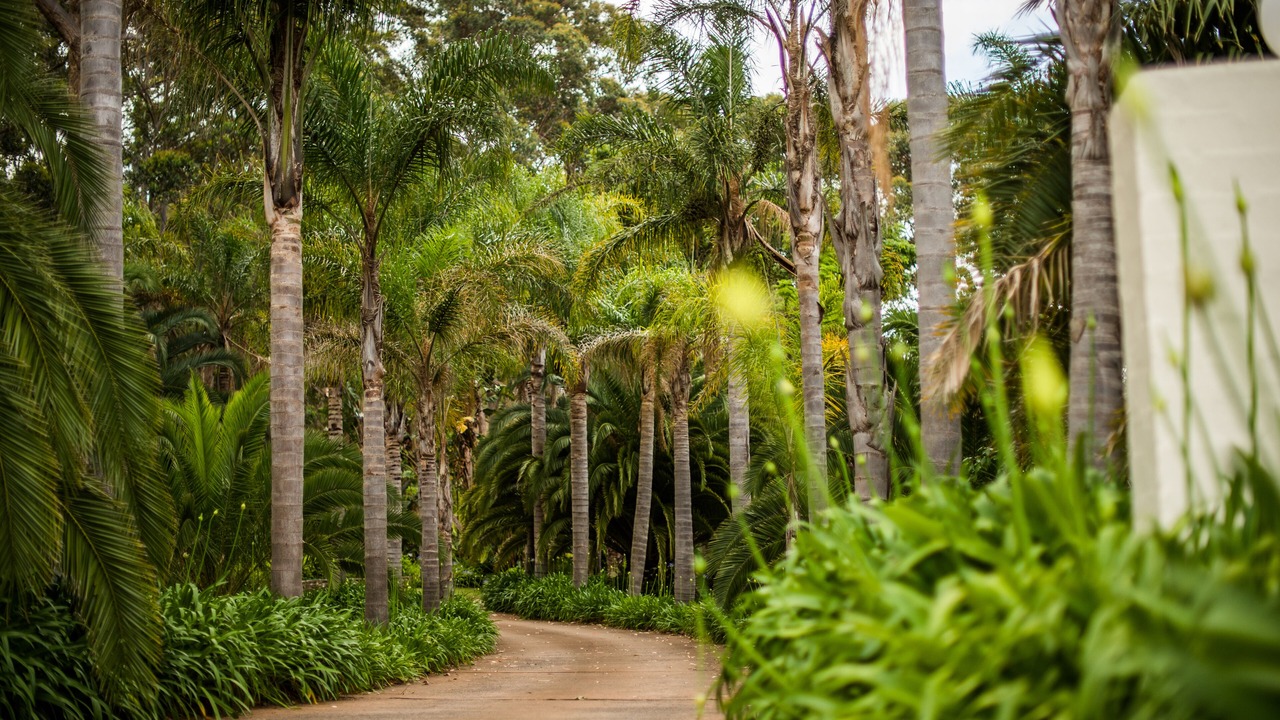 Photo of Outdoor in Surf Beach