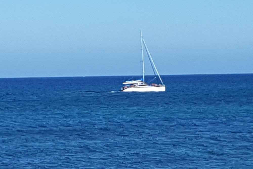 Photo of Others in Bonney