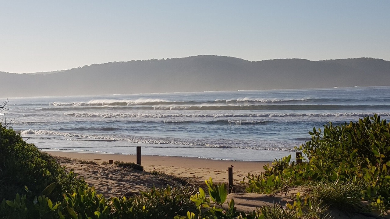 Photo of Others in Umina Beach
