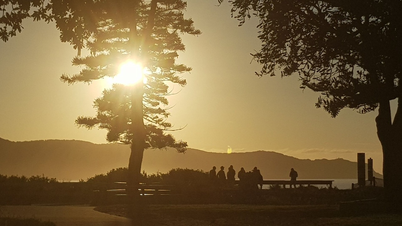 Photo of Outdoor in Umina Beach