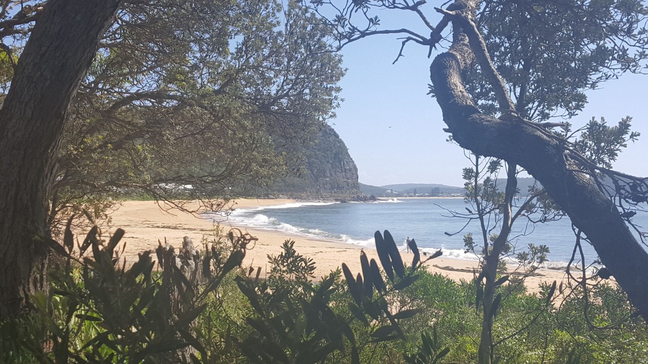Photo of Others in Umina Beach