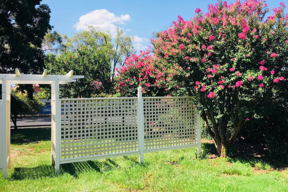 Photo of Others in Central Mudgee