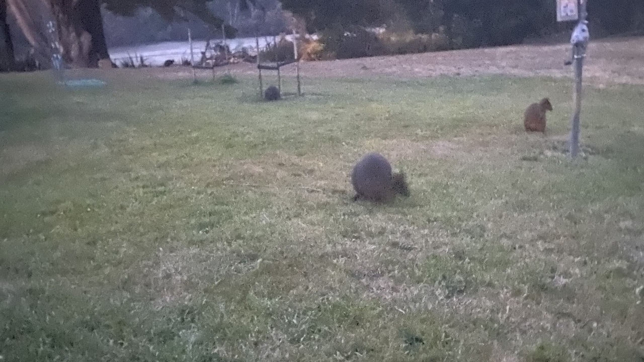 Photo of Outdoor in Huonville