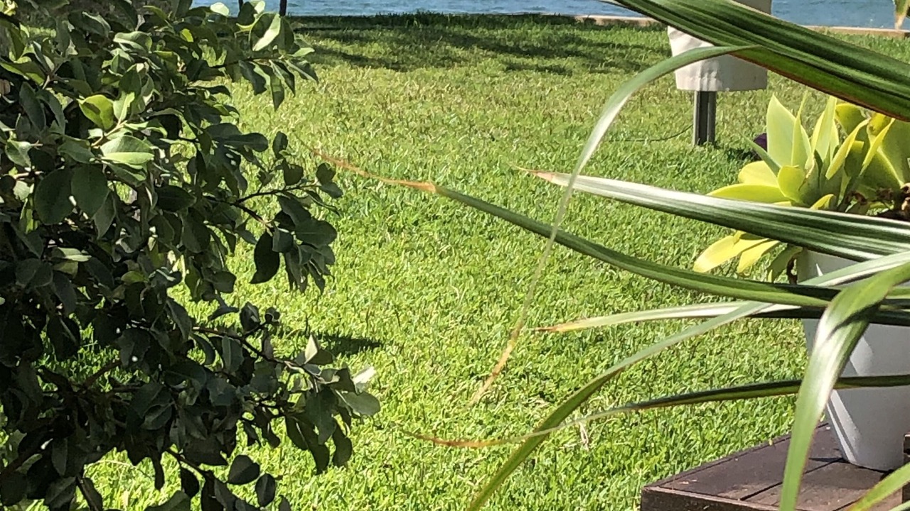Photo of Outdoor in Bundeena