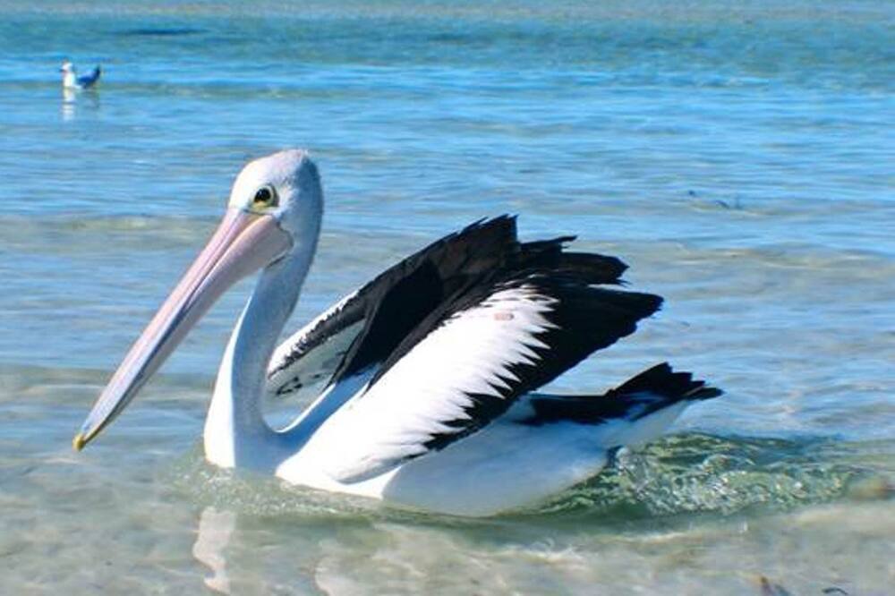 Photo of Others in Island Beach