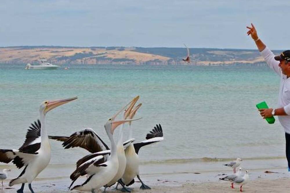 Photo of Others in Island Beach