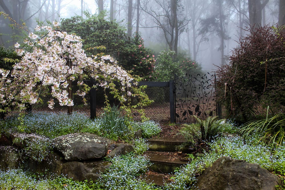 Photo of Others in Mount Tomah