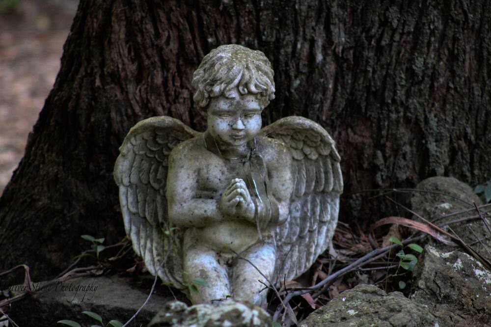 Photo of Others in Mount Tomah