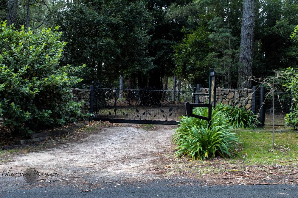 Photo of Others in Mount Tomah