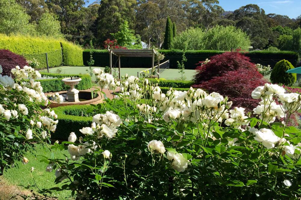 Photo of Outdoor in Mittagong