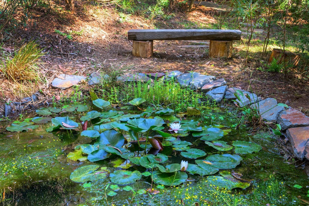 Photo of Outdoor in Kalorama