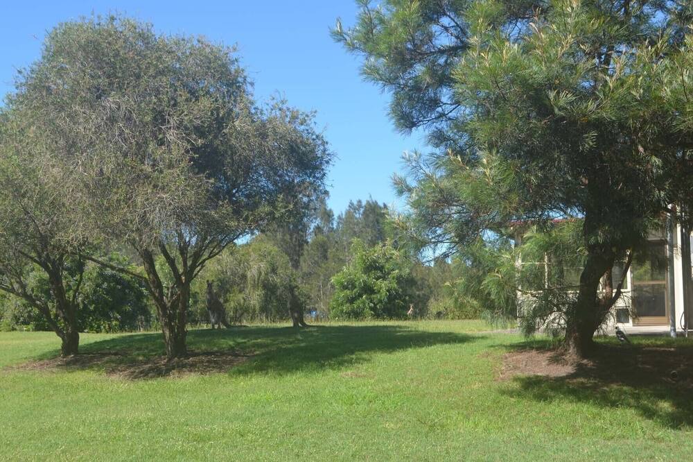 Photo of Outdoor in Micalo Island