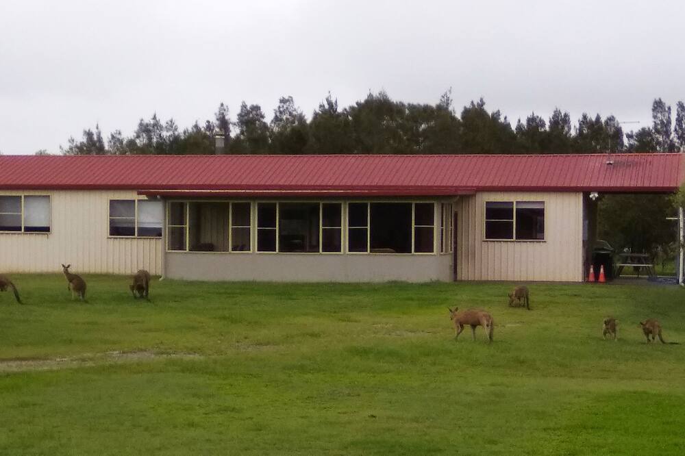 Photo of Outdoor in Micalo Island