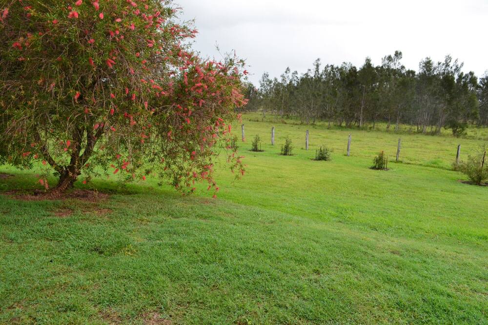 Photo of Outdoor in Micalo Island