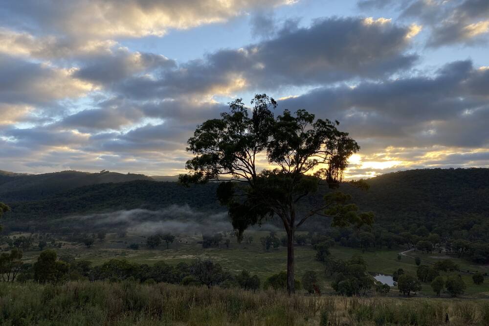 Photo of Outdoor in Wisemans Creek