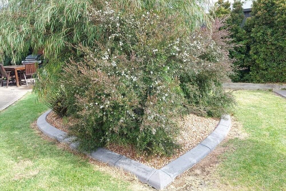 Photo of Outdoor in Numurkah