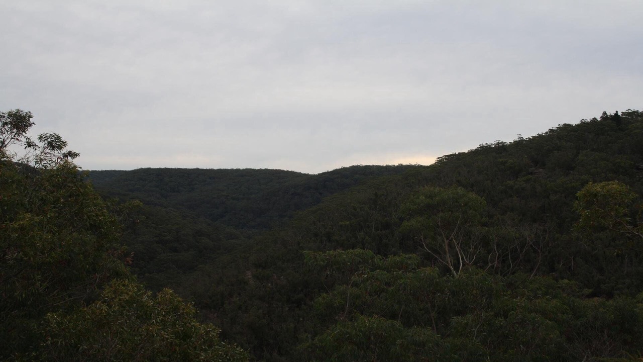Photo of Others in Faulconbridge