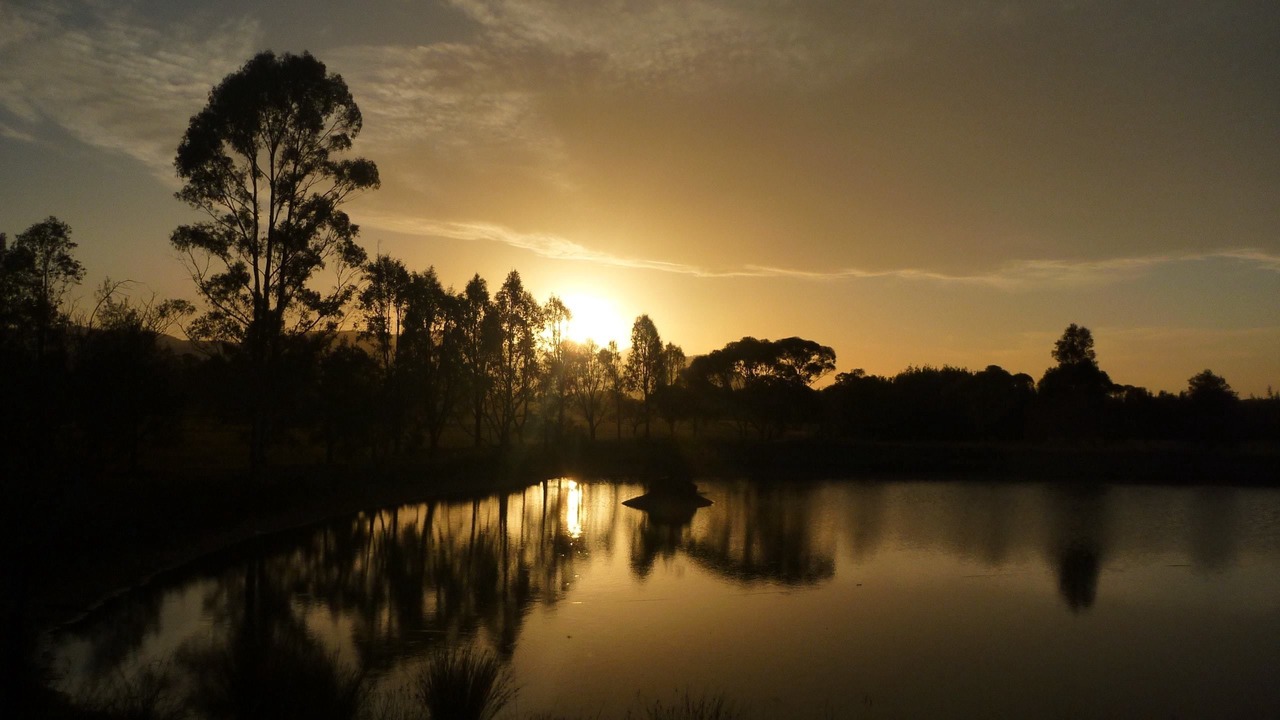 Photo of Outdoor in Pokolbin
