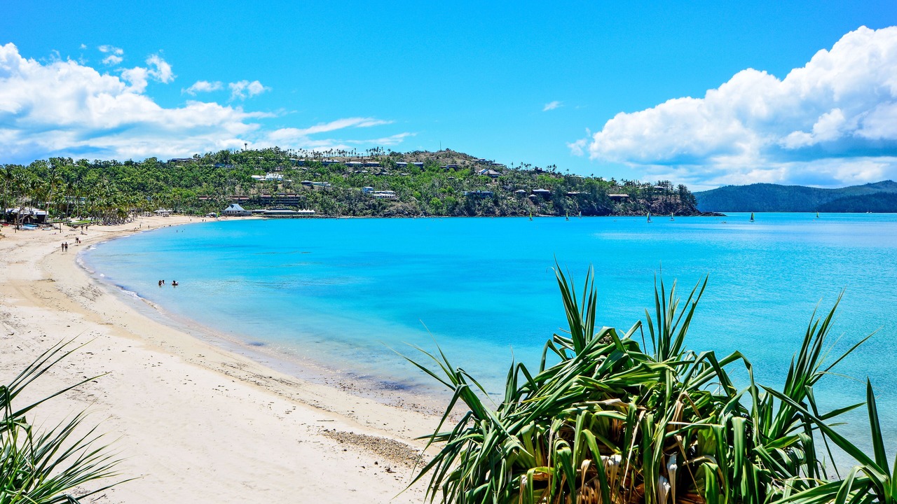 Photo of Others in Hamilton Island