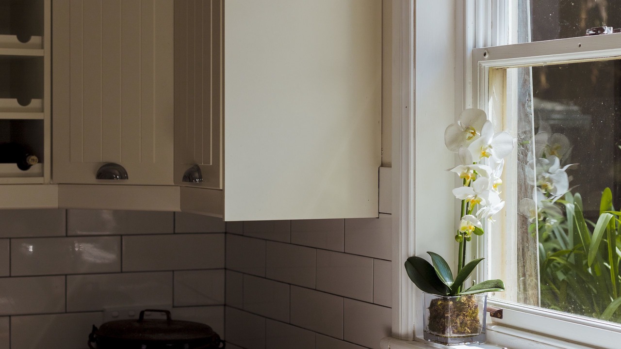 Photo of Kitchen in Blackheath