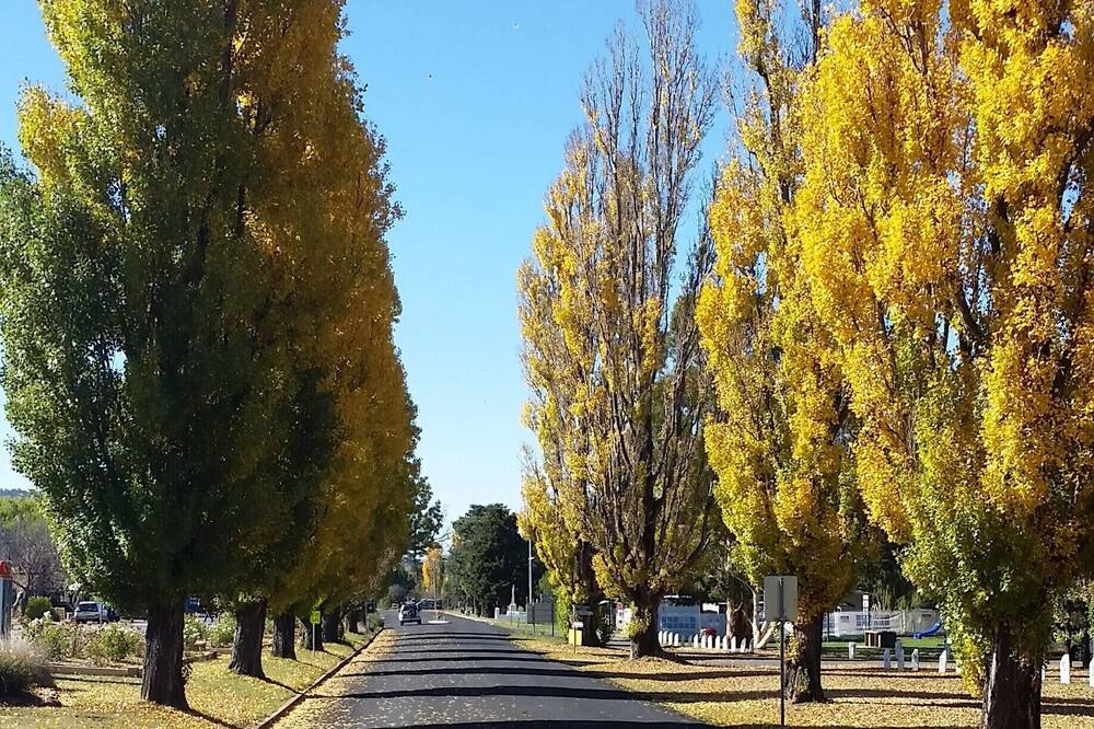 Photo of Outdoor in Berridale