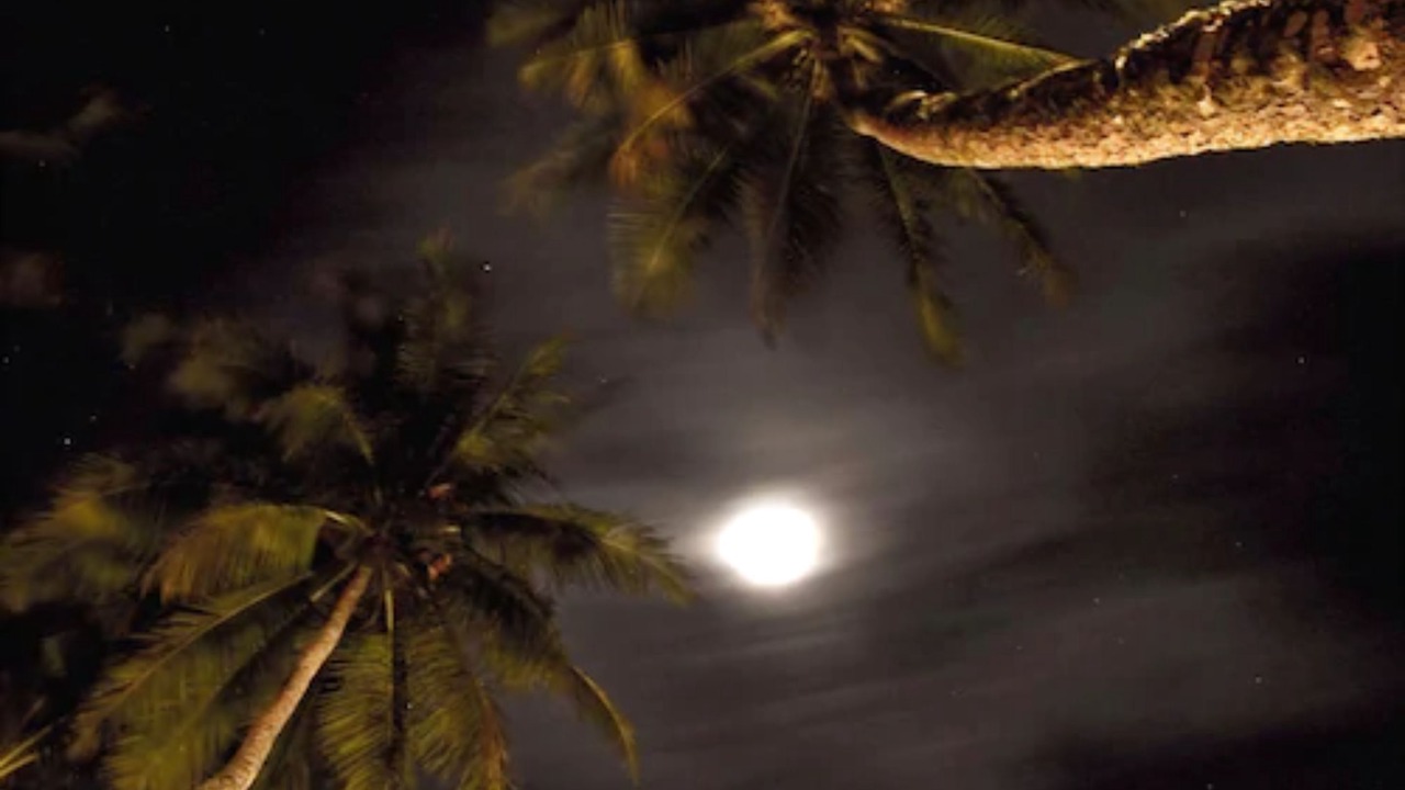 Photo of Outdoor in Afaahiti