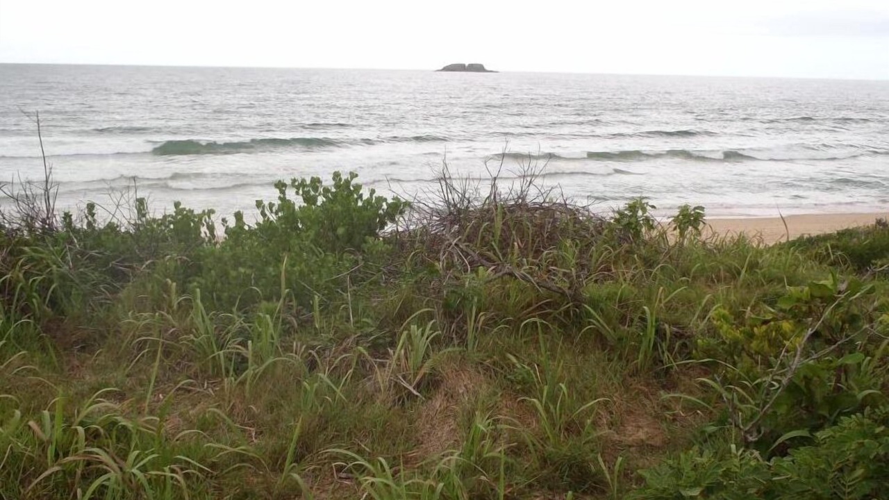 Photo of Others in Sapphire Beach