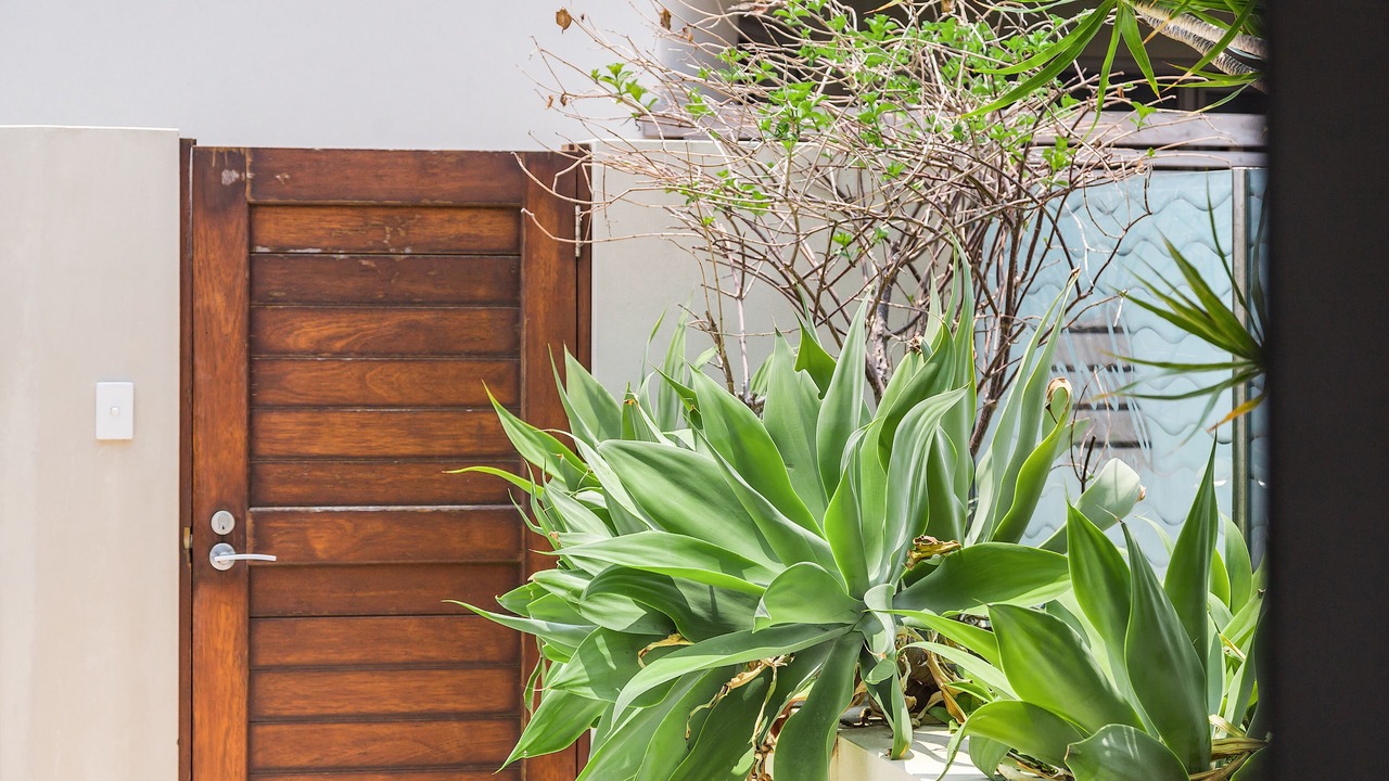 Photo of Outdoor in Byron Bay