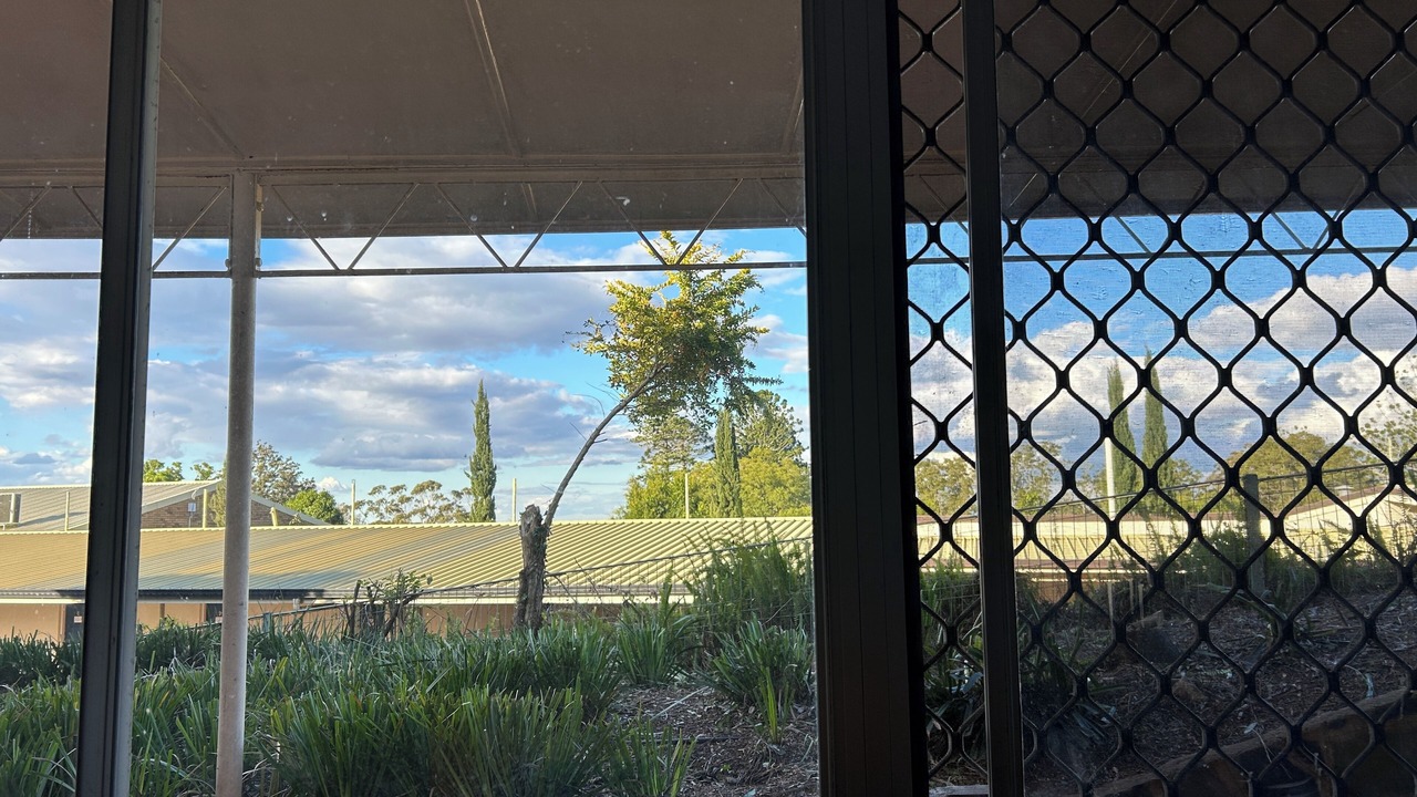 Photo of Outdoor in East Toowoomba