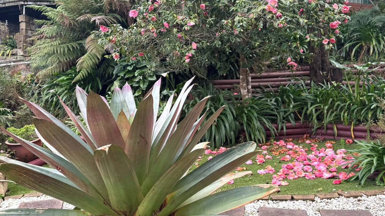 Photo of Outdoor in Oatley