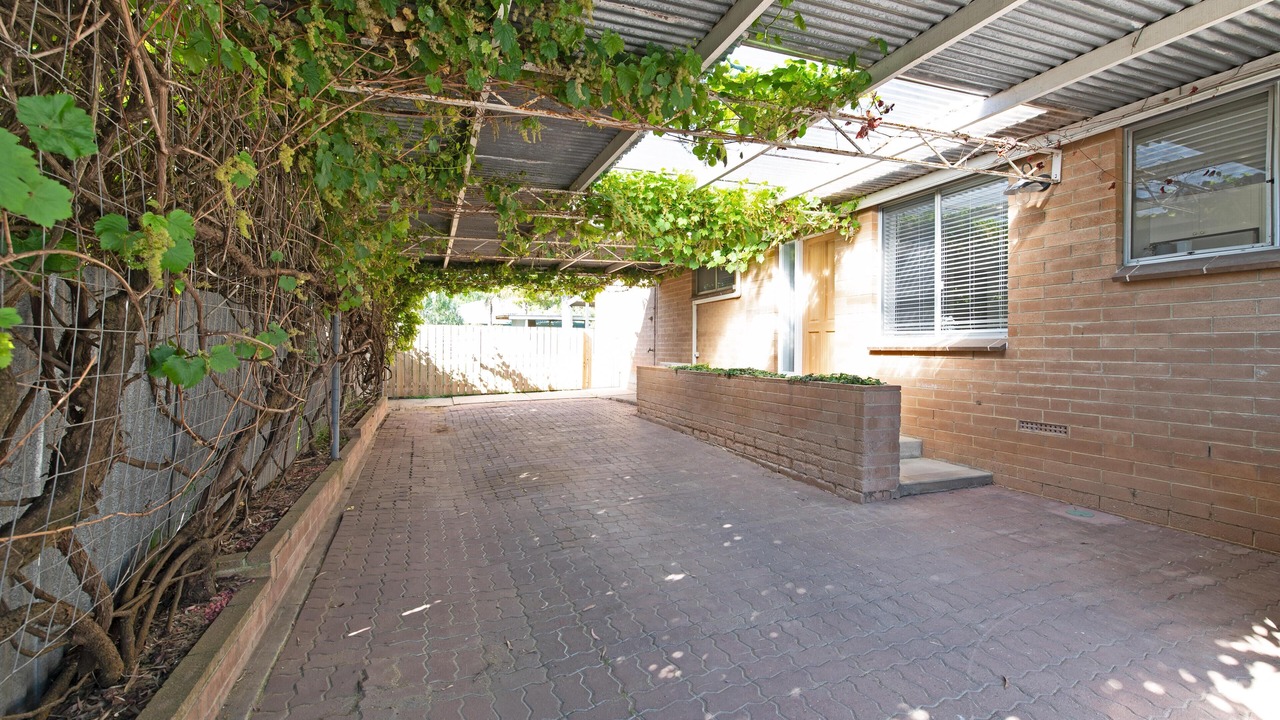 Photo of Outdoor in Willunga