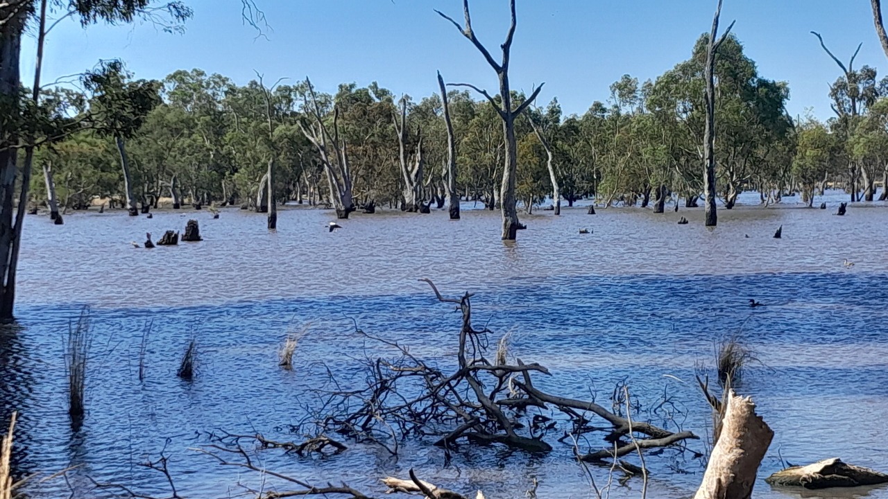 Photo of Others in Tatiara