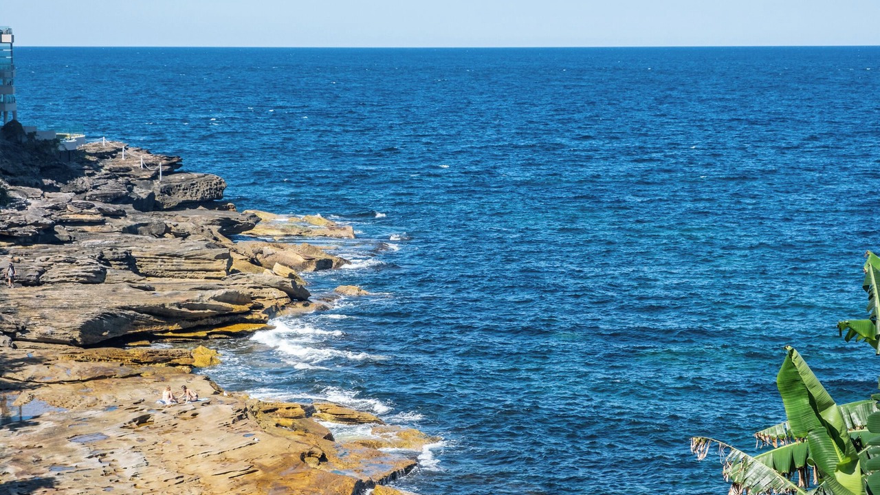 Photo of Others in Maroubra