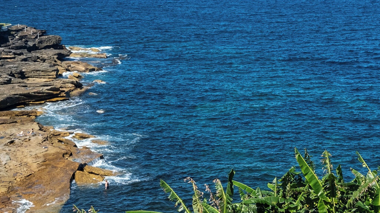 Photo of Others in Maroubra