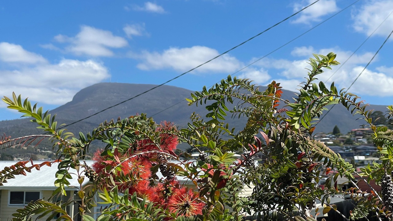 Photo of Outdoor in Glenorchy