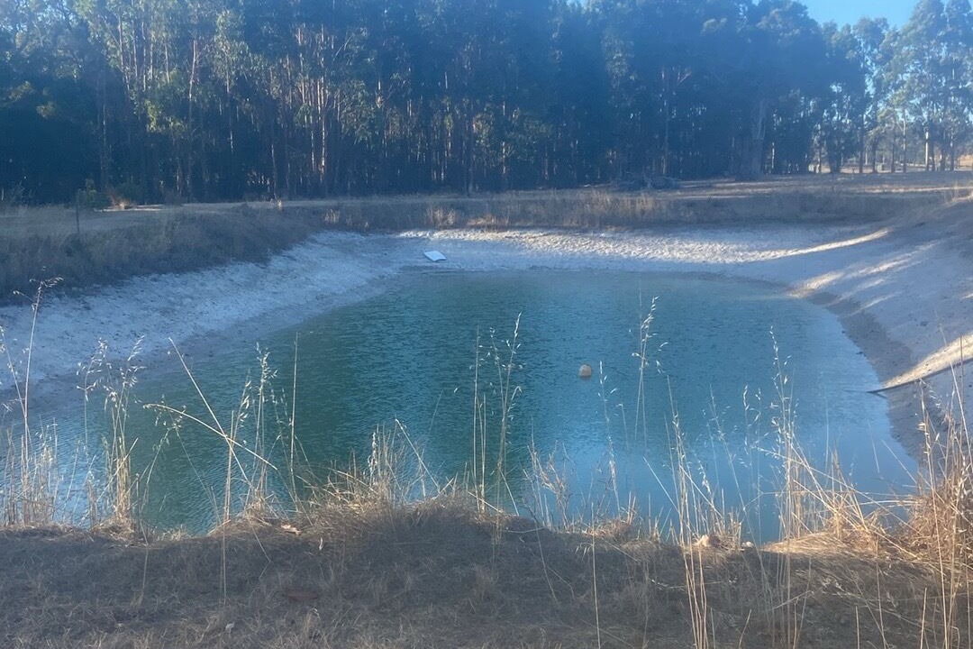 Photo of Others in Rosa Brook