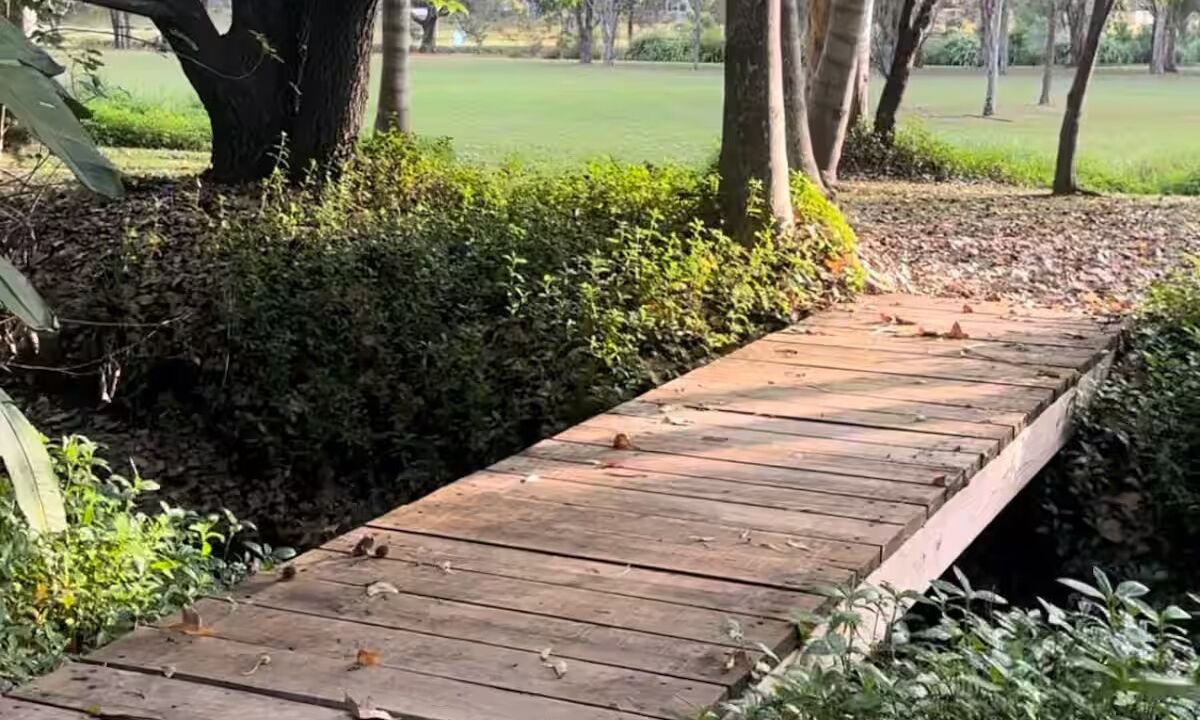 Photo of Outdoor in Elanora