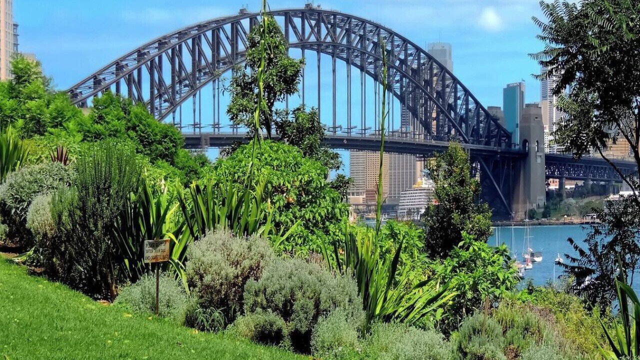 Photo of Others in McMahons Point