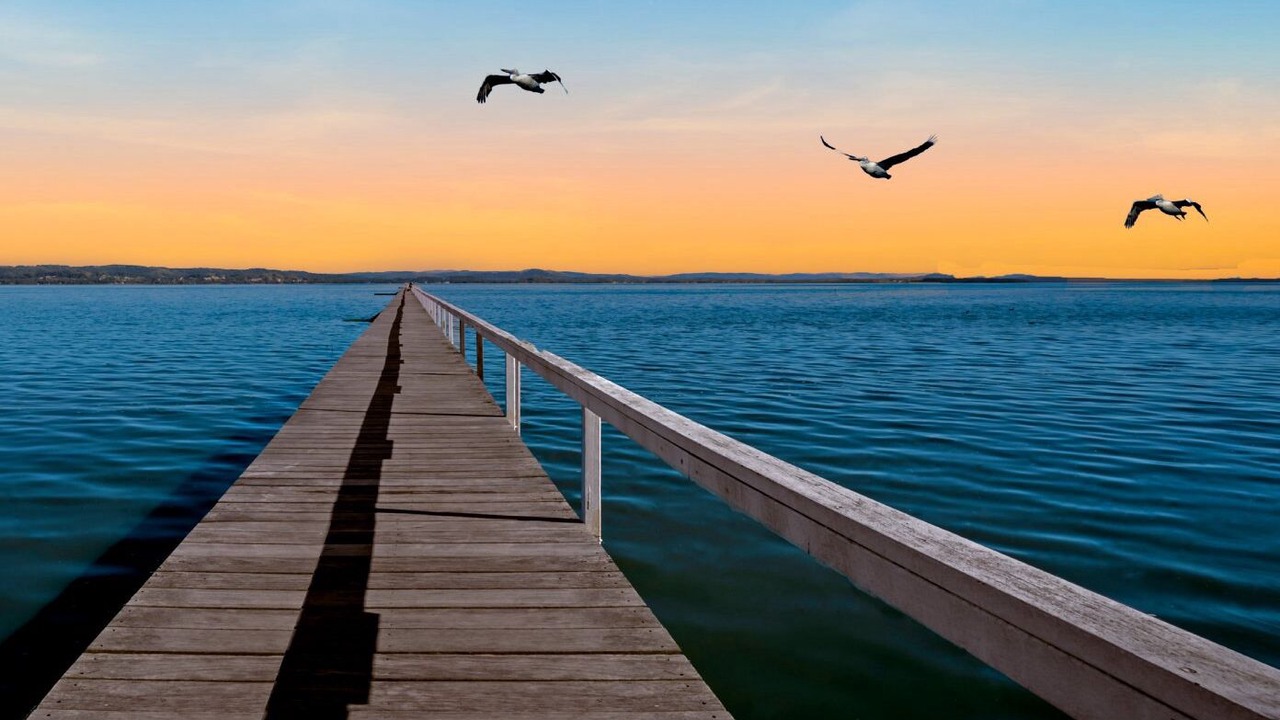 Photo of Others in Long Jetty