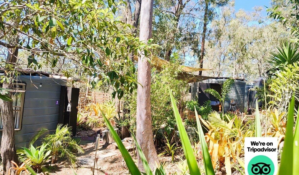 Photo of Outdoor in Apple Tree Creek