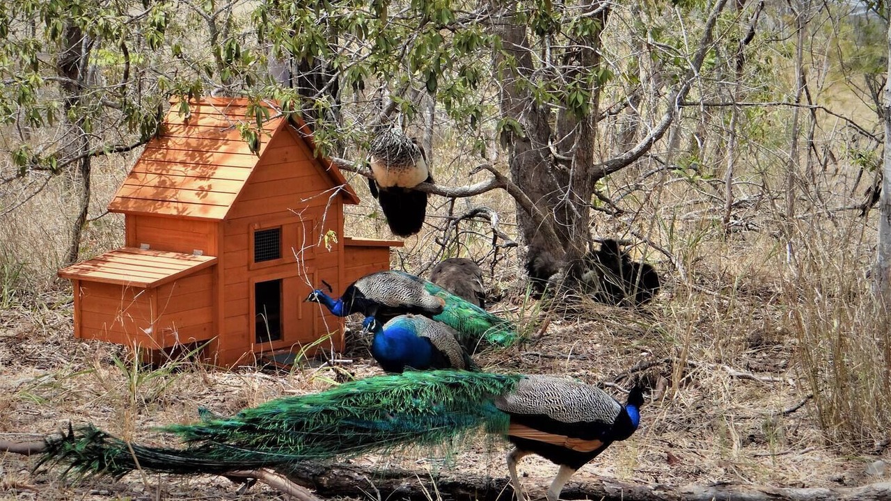 Photo of Outdoor in Apple Tree Creek